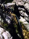 Rocchetta Nervina - Im