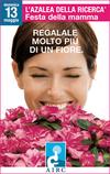 L'azalea della ricerca... L'azalea della ricerca...